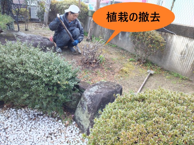 灯篭設置する場所　植栽撤去